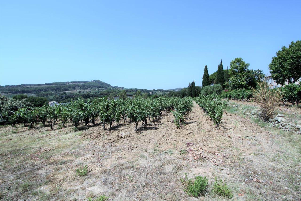 Bastide La Marraine Villa Le Castellet  Eksteriør billede